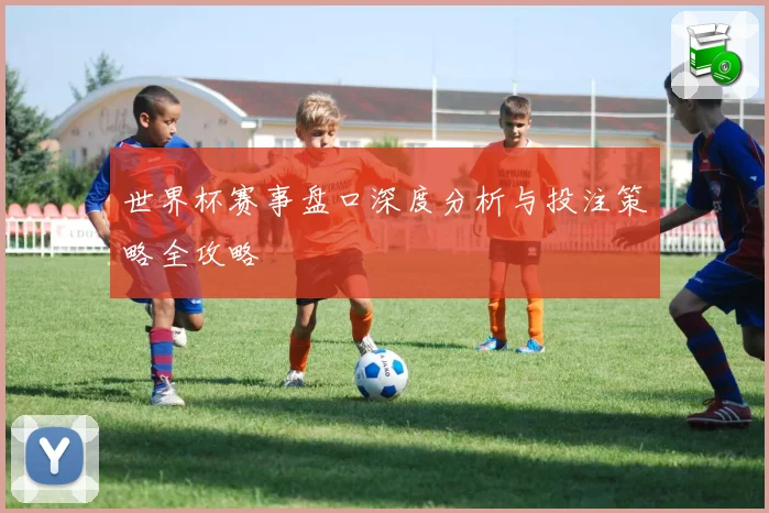 世界杯赛事盘口深度分析与投注策略全攻略