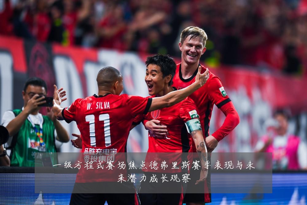 一级方程式赛场焦点德弗里斯赛季表现与未来潜力成长观察
