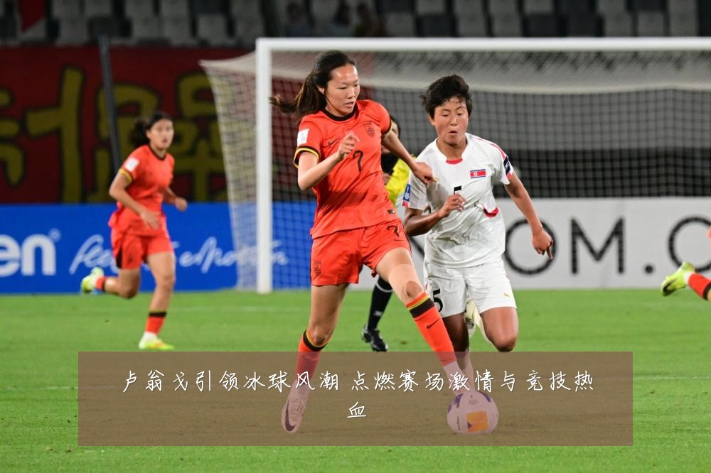 卢翁戈引领冰球风潮 点燃赛场激情与竞技热血